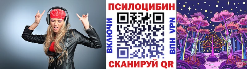 дарнет шоп  omg онион  Галлюциногенные грибы мицелий  Судогда 
